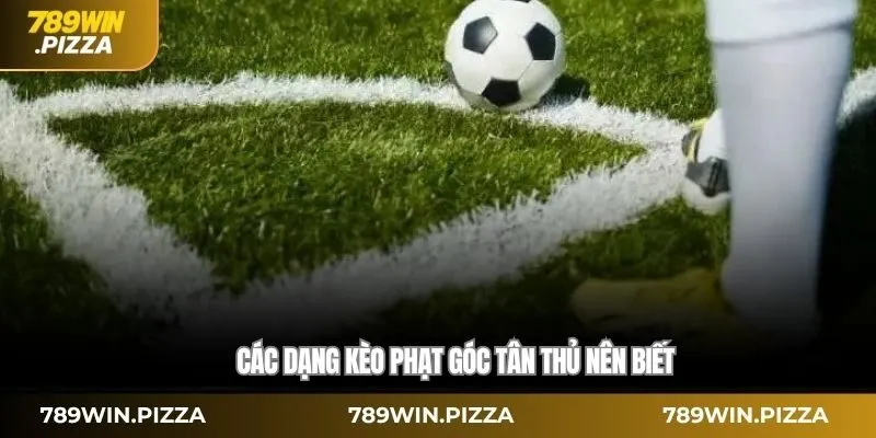 Các dạng kèo phạt góc tân thủ nên biết