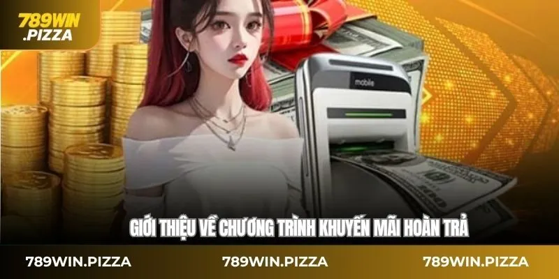 Giới thiệu về chương trình khuyến mãi hoàn trả