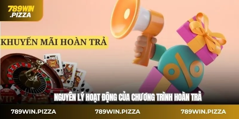 Nguyên lý hoạt động của chương trình hoàn trả