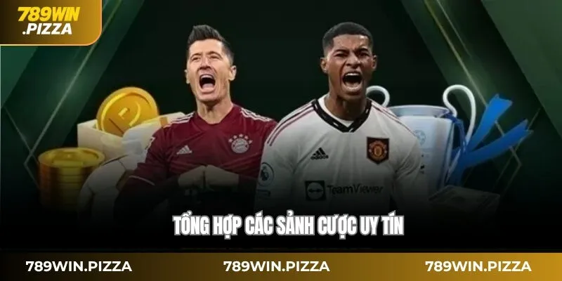 Tổng hợp các sảnh cược uy tín 